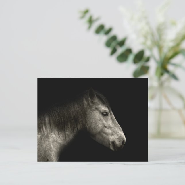 Horse portrait postcard (Standing Front)