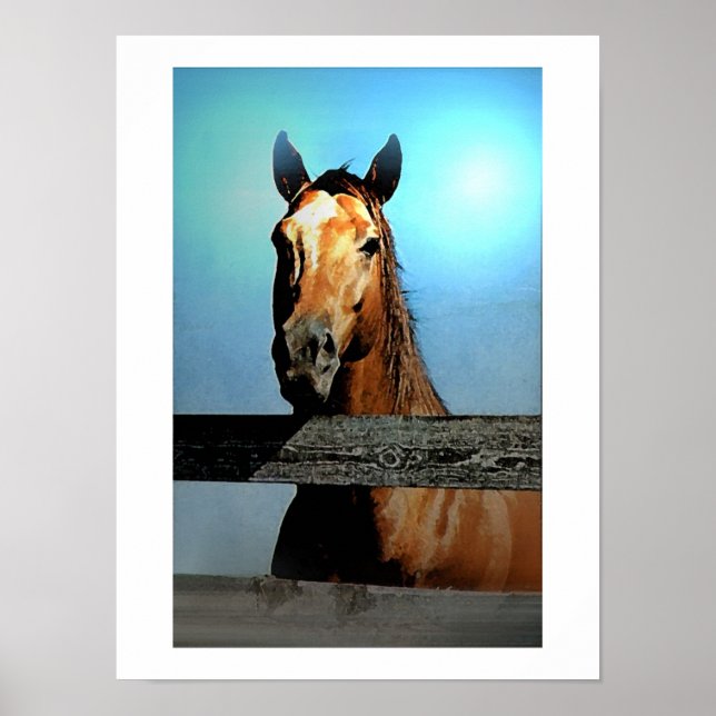 Horse Portrait Poster (Front)