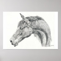 Horse portrait poster in graphite pencil drawing