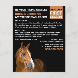 Horse Portrait, Riding Instructor, Academy Flyer