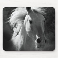 Horse Portrait V