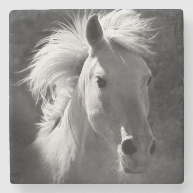 Horse Portrait V Stone Coaster (Front)