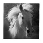 Horse Portrait V Tile<br><div class="desc">Animals</div>