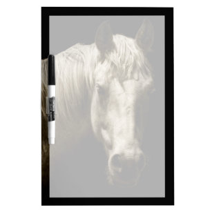 Horse Portrait VI Dry Erase Board