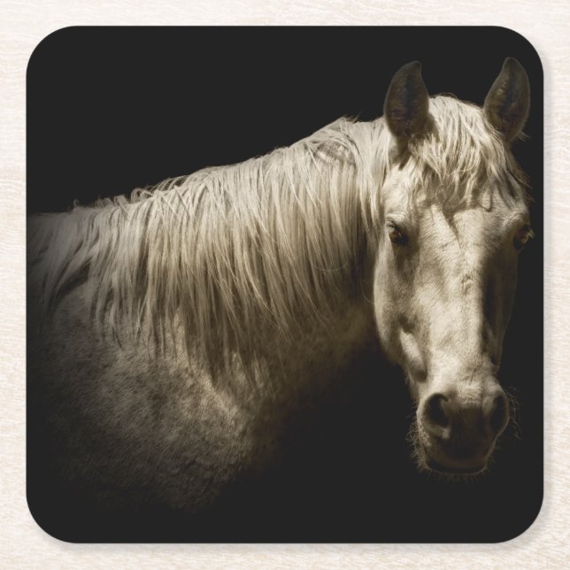 Horse Portrait VI Square Paper Coaster (Front)