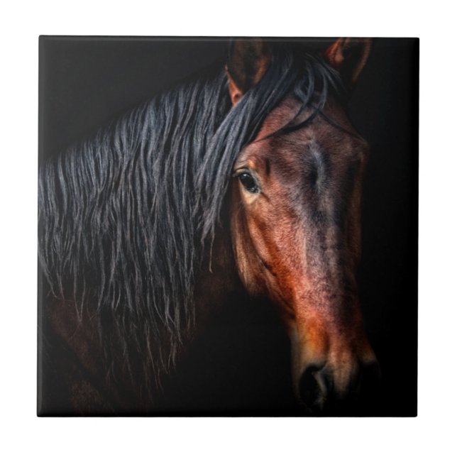 Horse Portrait VII Tile (Front)