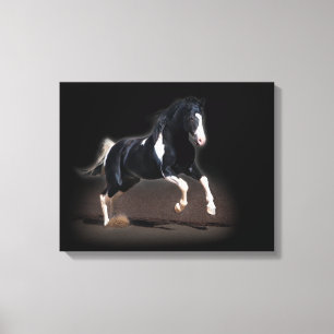 Horse Portrait VIII Canvas Print