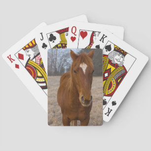 Horse pose playing cards