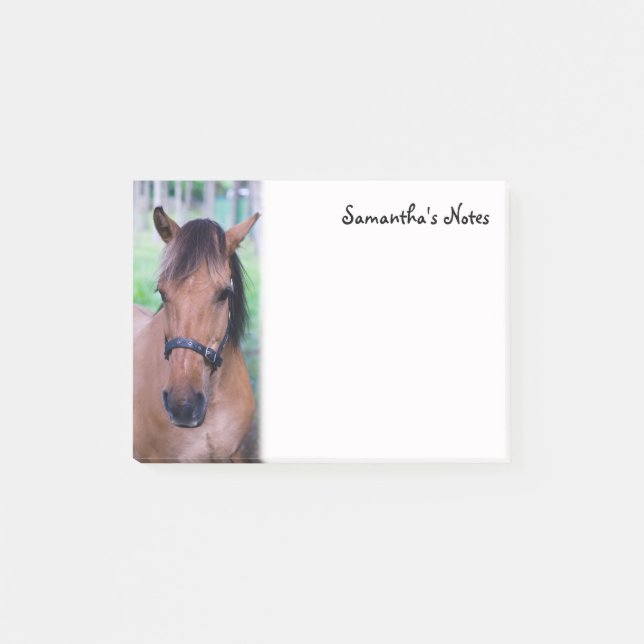 Horse Post-It Notes (Front)