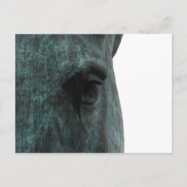 Horse Postcard (Front)