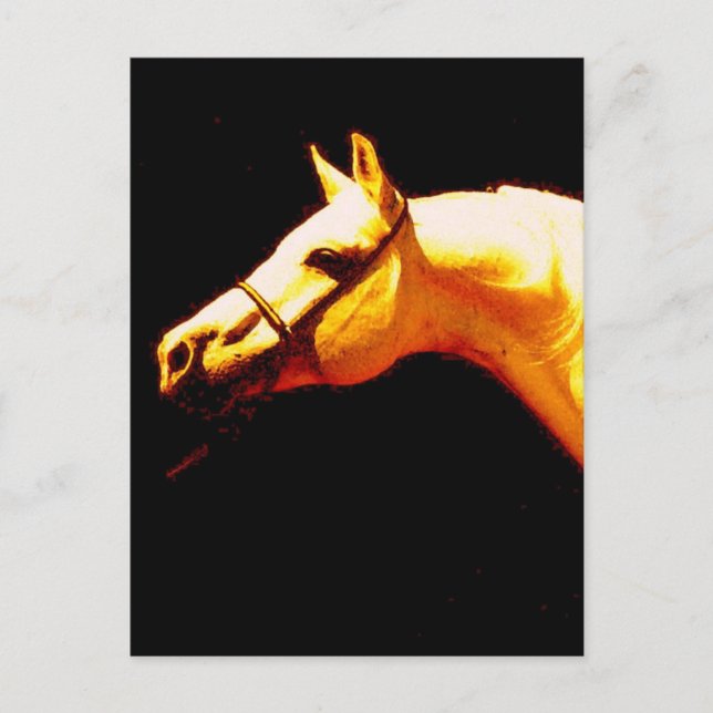 Horse Postcard (Front)