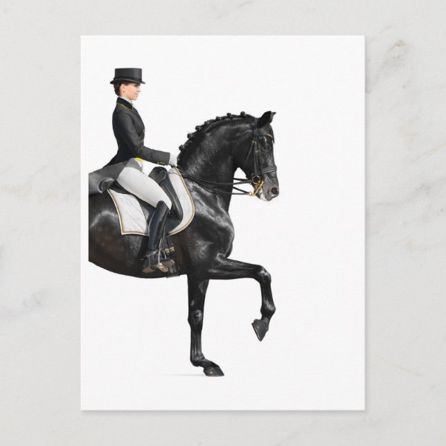Horse Postcard (Front)