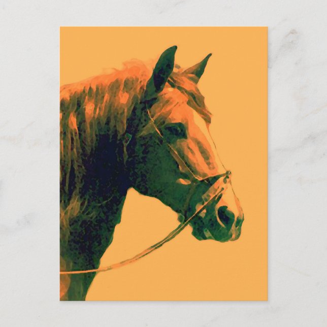 Horse Postcard (Front)
