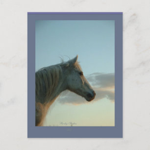 Horse Postcard, Customizable 6 Postcard