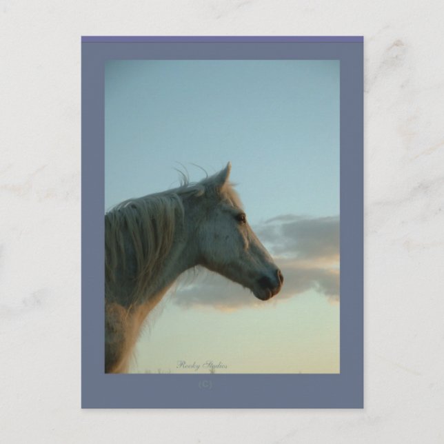 Horse Postcard, Customizable 6 Postcard (Front)
