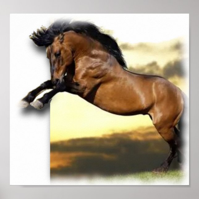 Horse Poster (Front)