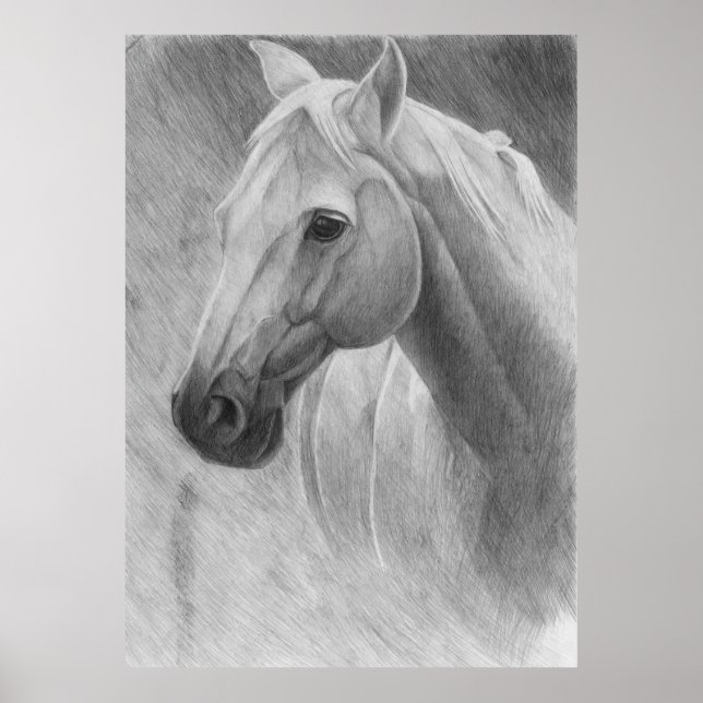Horse Poster (Front)