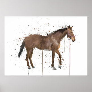 Horse Poster