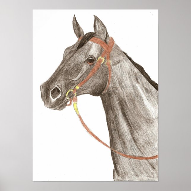 Horse Poster (Front)
