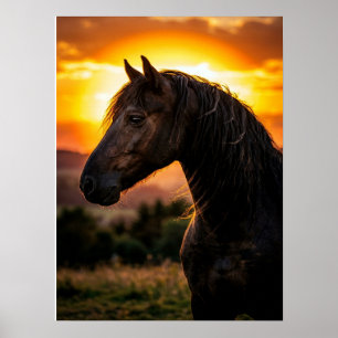 Horse Poster Equestrian Art