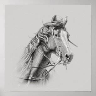 Horse Poster: Majestic Power on Display Poster