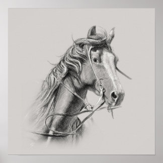 Horse Poster: Majestic Power on Display Poster