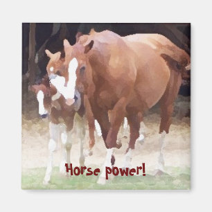 Horse power! Magnet