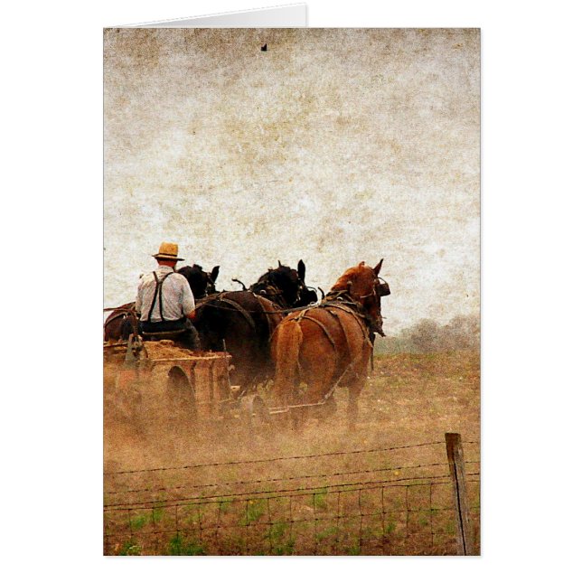 Horse Powered Field Work (Front)