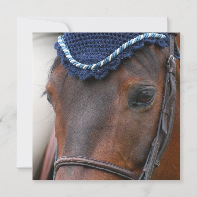 Horse Profile Invitations (Front)