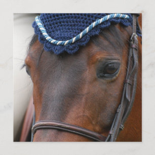 Horse Profile Invitations
