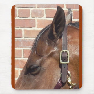horse profile mouse pad