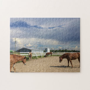 Horse Puzzle
