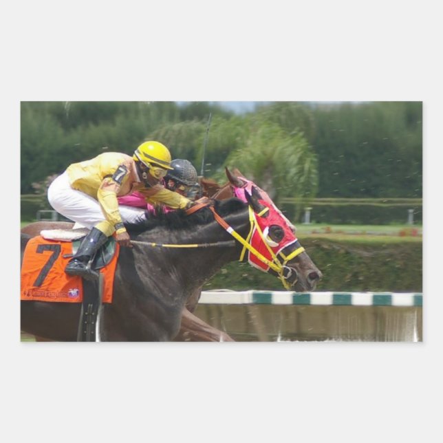 Horse Race Finish Sticker (Front)