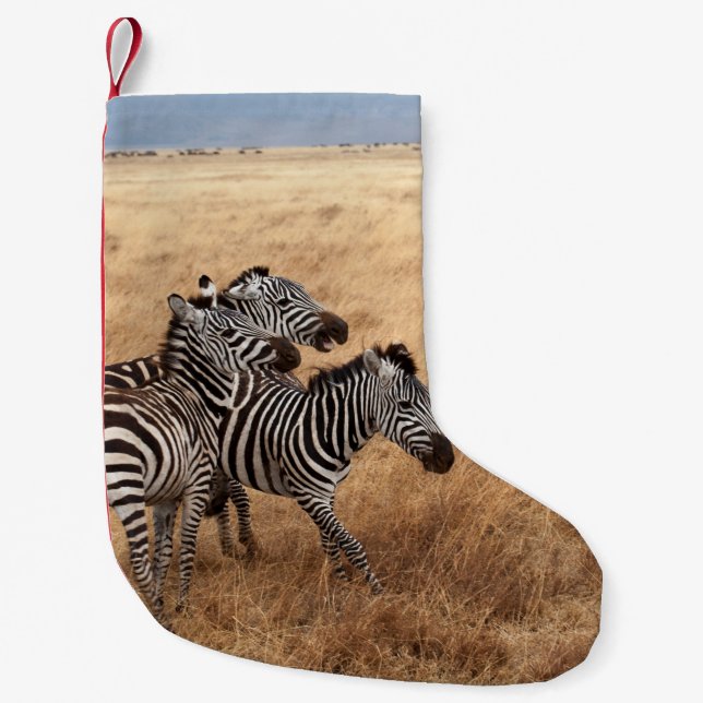 HORSE RACE SMALL CHRISTMAS STOCKING (Front)