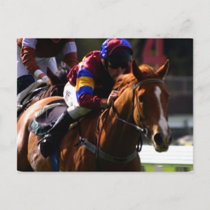 Horse Racing Postcard