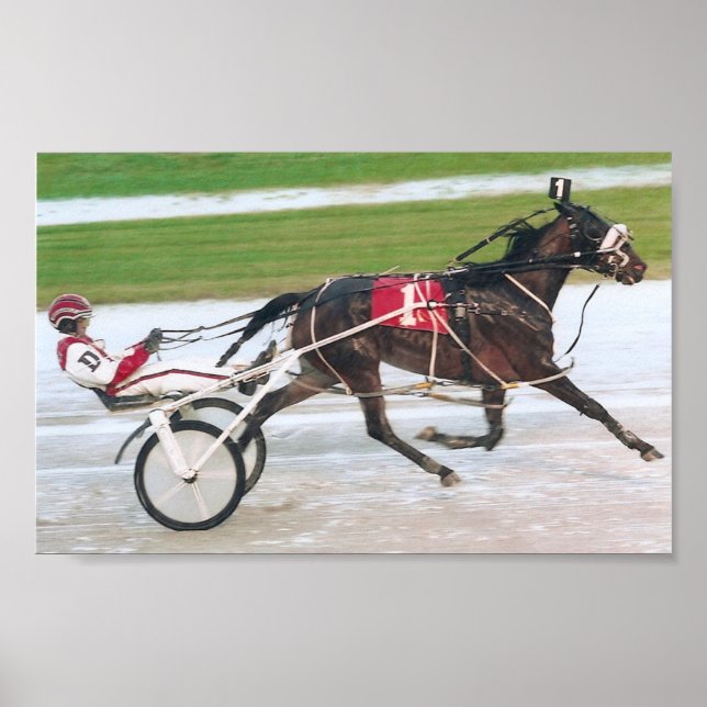 horse racing poster (Front)