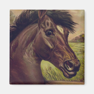 Horse Ranch Farm Country Pet Cute Animal Vintage Magnet