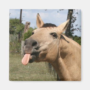 horse razzberry magnet