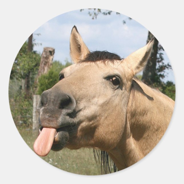 horse razzberry sticker (Front)