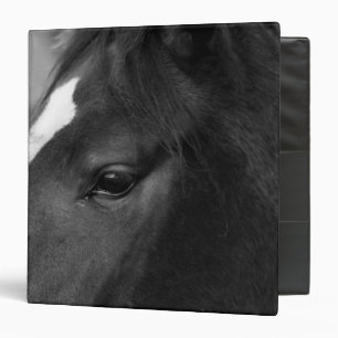 Horse rbcnm binder