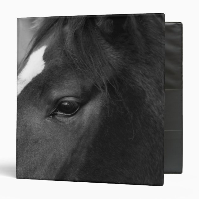 Horse rbcnm binder (Front/Inside)