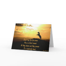 Horse Rearing in Sunset Silhouette