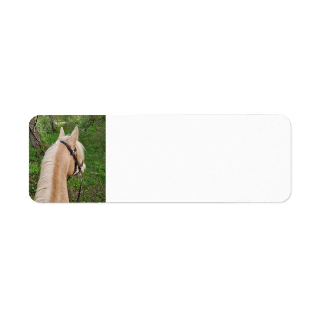 Horse return address labels (Front)