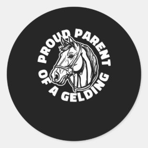 Horse Rider Gelding - Horseback Horse Riding Classic Round Sticker