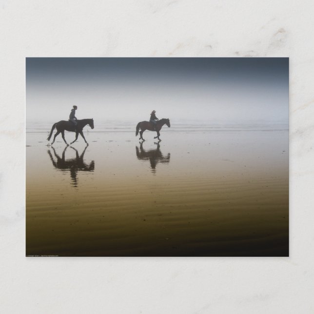 Horse riders at the beach postcard (Front)