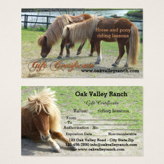 Certificate Templates Gifts Certificate Templates Gift Ideas On Zazzle Ca Horseback Lesson Gift Certificate Template