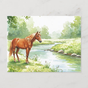 Horse River Peaceful Watercolor Nature Postcard