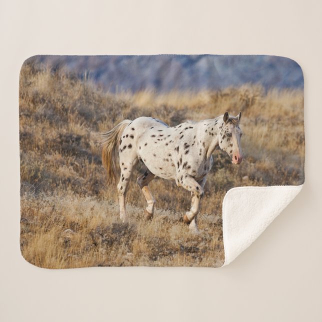 Horse Roaming the Scenic Hills of the Big Horn Sherpa Blanket (Front (Horizontal))