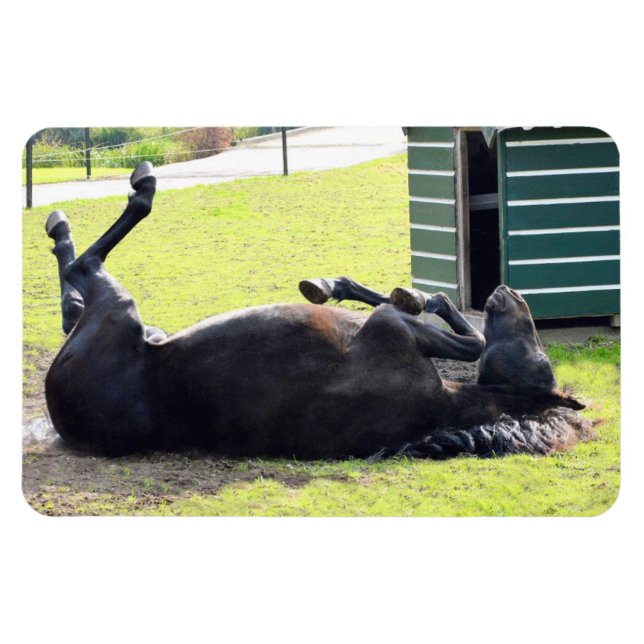Horse rolling Flexible Magnet (Horizontal)