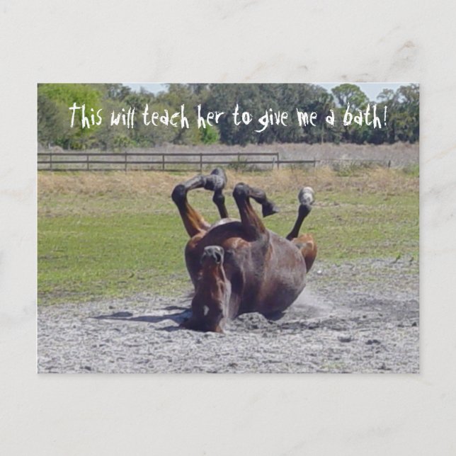 Horse Rolling Postcard (Front)